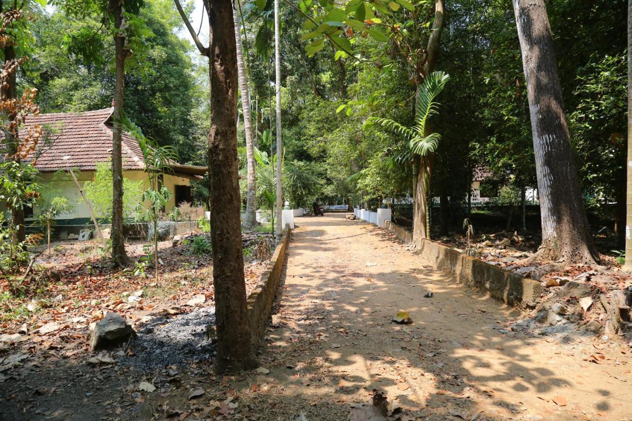 The Mana-Heritage Stay - Chengazhimattam Mana Kottayam Extérieur photo