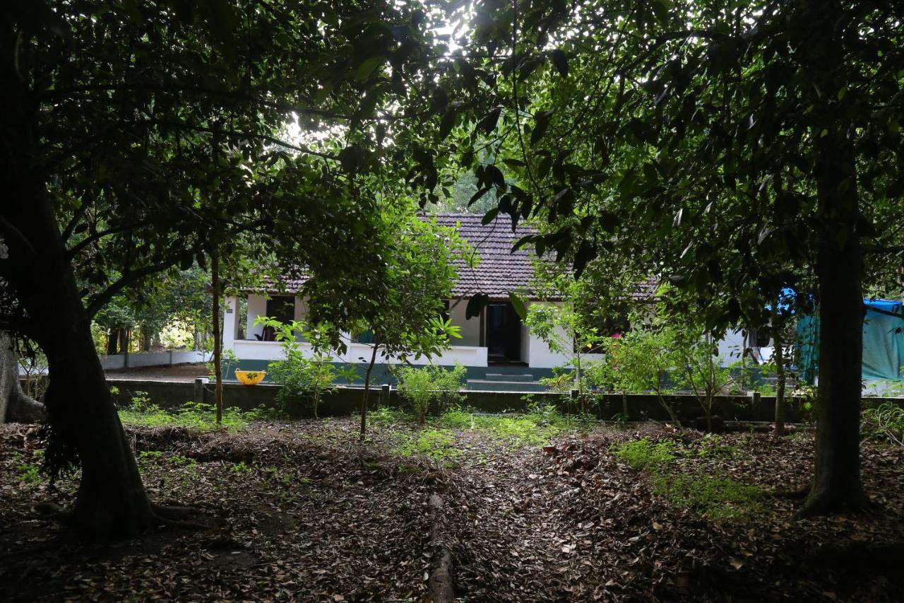The Mana-Heritage Stay - Chengazhimattam Mana Kottayam Extérieur photo
